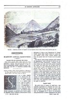 giornale/TO00188999/1901/unico/00000279
