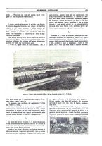 giornale/TO00188999/1901/unico/00000637