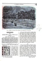 giornale/TO00188999/1902/unico/00000679
