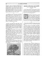 giornale/TO00188999/1902/unico/00000752