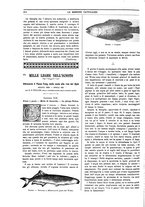 giornale/TO00188999/1903/unico/00000368