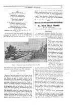 giornale/TO00188999/1905/unico/00000223