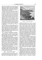 giornale/TO00188999/1907/unico/00000207