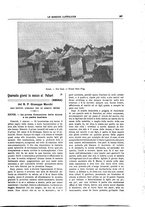 giornale/TO00188999/1907/unico/00000287