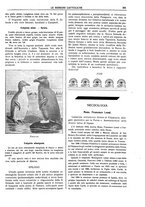 giornale/TO00188999/1910/unico/00000269