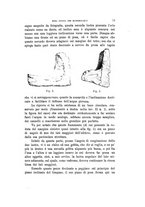 giornale/TO00189057/1906/v.21/00000083