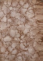 giornale/TO00189057/1908/v.23/00000003