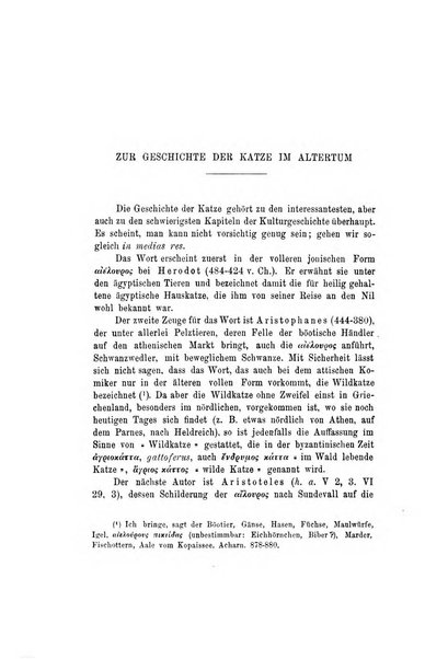 Mittheilungen des kaiserlich deutschen archaeologischen Instituts