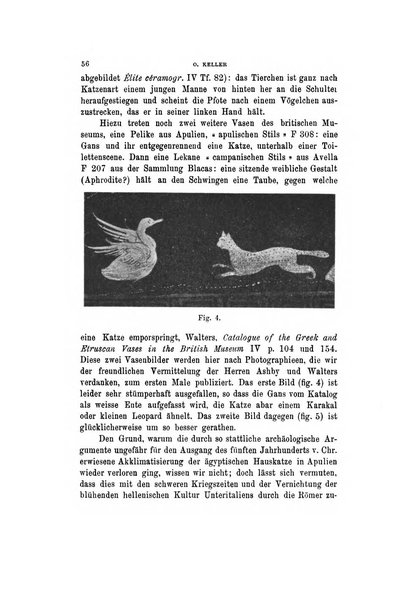 Mittheilungen des kaiserlich deutschen archaeologischen Instituts