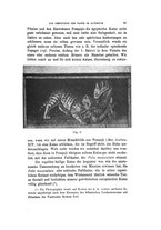 giornale/TO00189057/1908/v.23/00000069