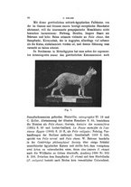 giornale/TO00189057/1908/v.23/00000070