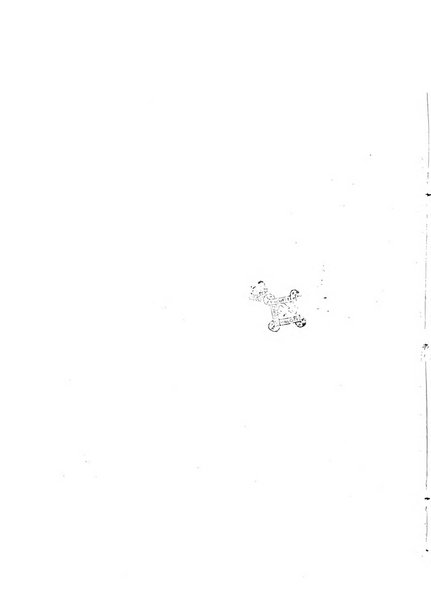 Modelli d'arte decorativa