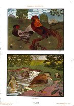 giornale/TO00189095/1908/v.2/00000021