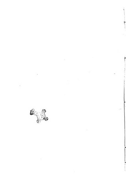 Modelli d'arte decorativa