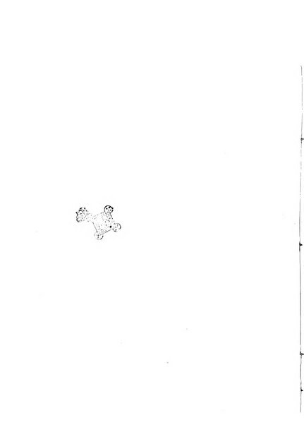 Modelli d'arte decorativa