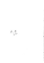 giornale/TO00189095/1908/v.2/00000052