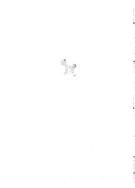 Modelli d'arte decorativa