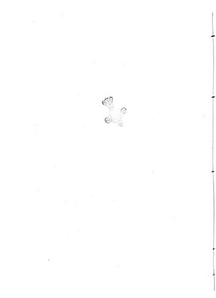 Modelli d'arte decorativa