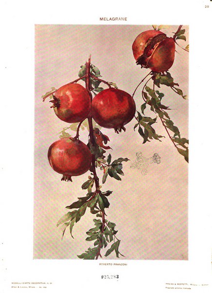 Modelli d'arte decorativa