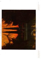 giornale/TO00189095/1908/v.2/00000091