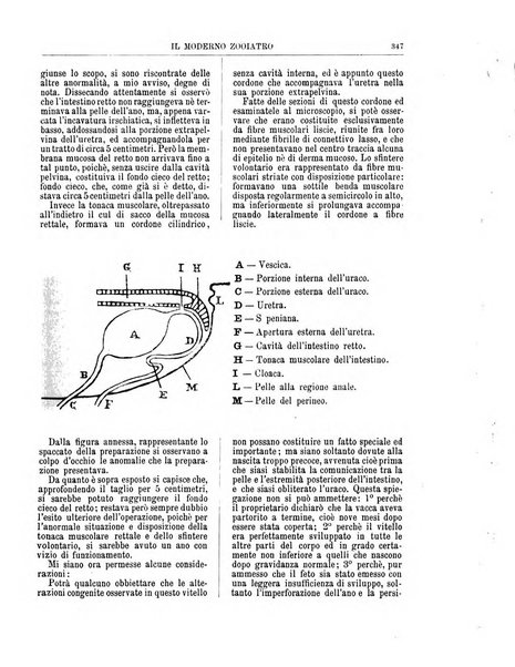 Il moderno zooiatro rassegna di medicina veterinaria e di zootecnia