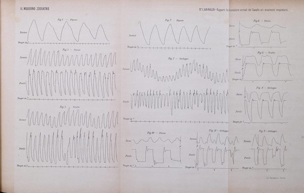 Il moderno zooiatro rassegna di medicina veterinaria e di zootecnia