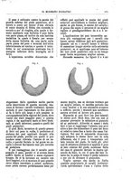 giornale/TO00189117/1893/unico/00000213