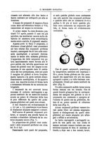 giornale/TO00189117/1895/unico/00000207