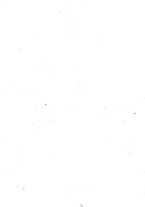 giornale/TO00189167/1863/T.1/00000008