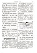 giornale/TO00189246/1904-1906/unico/00000405