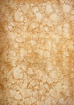 giornale/TO00189246/1921/unico/00000003