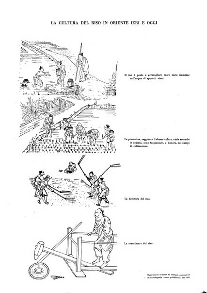 Il monitore tecnico giornale d'architettura, d'Ingegneria civile ed industriale, d'edilizia ed arti affini