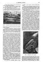 giornale/TO00189246/1943-1945/unico/00000355
