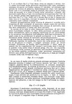 giornale/TO00189328/1882/unico/00000034