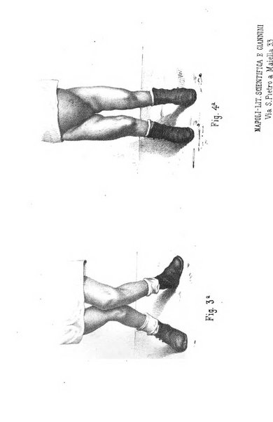 Il Morgagni opera di medicina e chirurgia