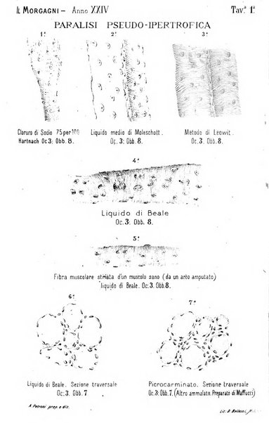 Il Morgagni opera di medicina e chirurgia