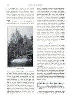 giornale/TO00189459/1903/unico/00000786