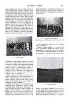 giornale/TO00189459/1904/unico/00000343