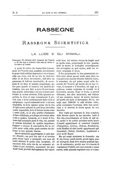 Natura ed arte rivista illustrata quindicinale italiana e straniera di scienze, lettere ed arti