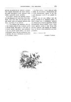 giornale/TO00189526/1892-1893/unico/00000205