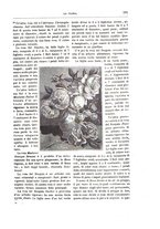 giornale/TO00189526/1892-1893/unico/00000223