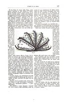 giornale/TO00189526/1892-1893/unico/00000229