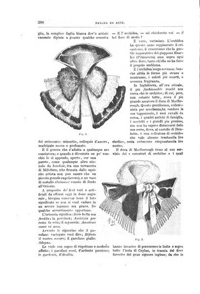 Natura ed arte rivista illustrata quindicinale italiana e straniera di scienze, lettere ed arti