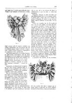 giornale/TO00189526/1892-1893/unico/00000447