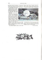 giornale/TO00189526/1892-1893/unico/00000558