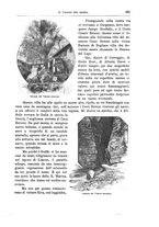 giornale/TO00189526/1892-1893/unico/00000701