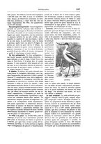 giornale/TO00189526/1892-1893/unico/00001211