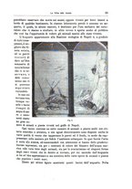 giornale/TO00189526/1892/unico/00000041