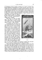 giornale/TO00189526/1892/unico/00000043