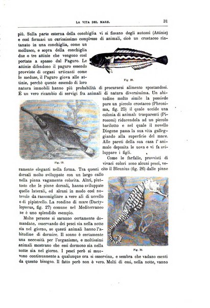 Natura ed arte rivista illustrata quindicinale italiana e straniera di scienze, lettere ed arti